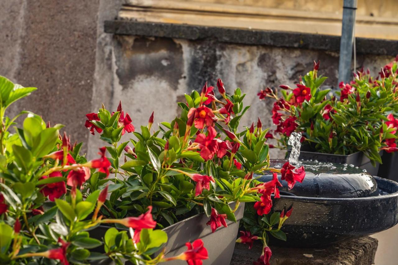 Ag Spanish Steps Terrace Рим Екстериор снимка